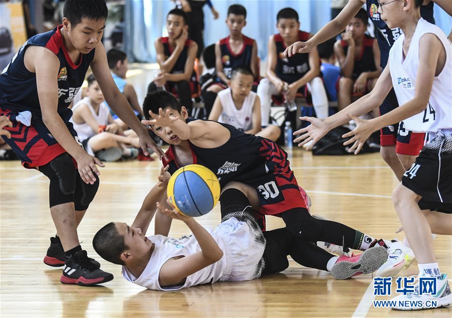  青少年篮球训练营，百名新苗开启特训